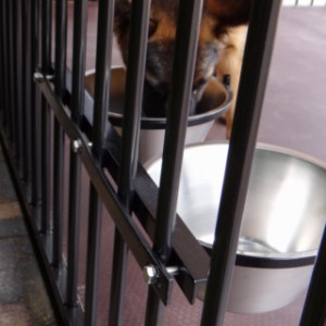 The double feeding bowl is supplied with mounting strips included