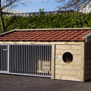 The dog kennel Roxy is provided with 1 bar panel