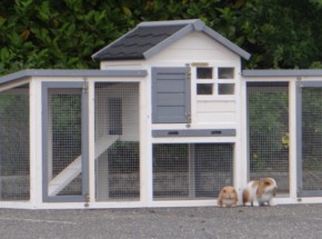 Plexiglass insulation kit · for rabbit hutch Advance Double