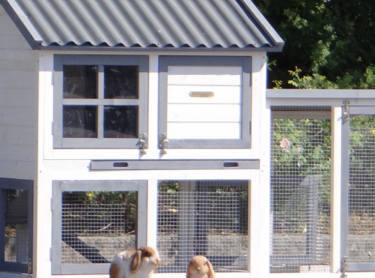 Plexiglass insulation kit · for rabbit hutch Nice with run Advance