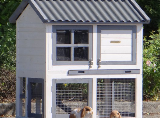 Plexiglass insulation set · for rabbit hutch Nice