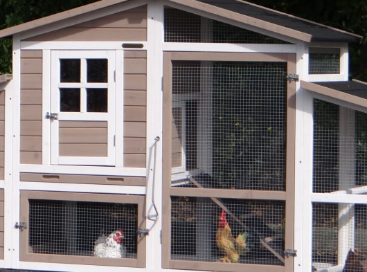 Plexiglass insulation kit · for rabbit hutch Leah