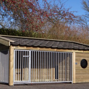 Dog house Roxy 2 has 2 mesh panels