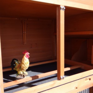 Wooden chicken coop with perches